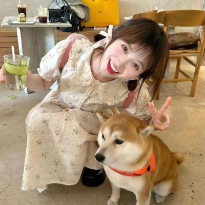 与凤飞
